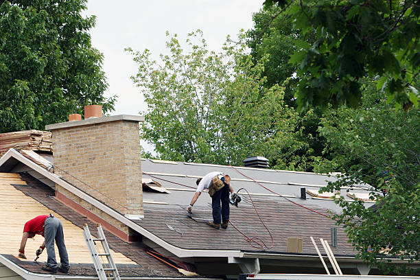 Roof Gutter Cleaning in Wellington, OH