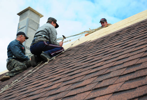 Best Roof Gutter Cleaning  in Wellington, OH